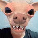 Dexter Cabrera - Facebook