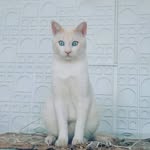 Dexter Cabrera Bueno - @dexter.cabrera.bueno - Instagram