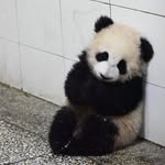 Dexter Cai - @dexter_cai - Instagram