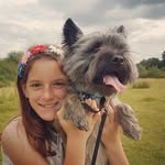 dexter🐶🐾 - @dextercairn - Instagram