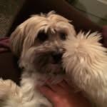 Dexter Cameron - @dexter_cameron - Instagram