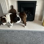 Dexter Cameron - @dexter_cam_09 - Instagram