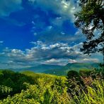 Dexter Cantrell - Facebook