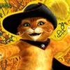 dexter168card - @dexter168card5 - TikTok
