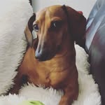 Dexter Carden - @dexter_carden - Instagram