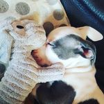 Dexter Chadwick - @dexterchad_xx - Instagram