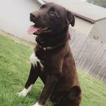 Dexter Chadwick Nolan - @dexter.c.nolan - Instagram