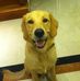 Dexter Chang - Facebook