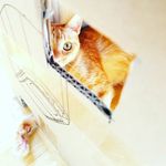 Cherry Dexter - @cherry._.dexter - Instagram