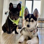 Dexter & Dallas Cherry - @hellodexteranddallas - Instagram