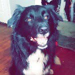 Dexter Clemente - @dexter_clemente77 - Instagram