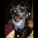 Dexter Collier - @dexter.pooh - Instagram