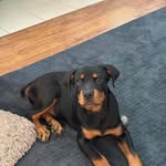 Mike Dexter Collins - @mcdex22 - Instagram