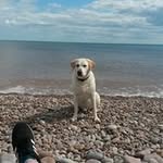 Dexter Connor - @dexter.connor.92 - Instagram