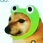 el_pqnadino_:v sube memes - @dexte_rcraft - Instagram