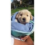 DexterC_18 - @dextercuevas_18 - Instagram