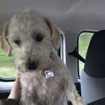 Dexter Davison - @dexter_davison354 - Instagram