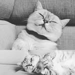 Dexter_Day - @dexter_day2008 - Instagram