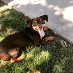 Dexter Day - @dexterday_ - Instagram