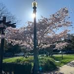 Dexter Day - @attdexter - Instagram