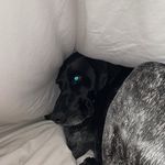 Dexter Day - @dexter_dayy - Instagram