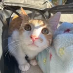Dexter - @dexterdays_ - Instagram