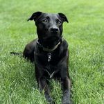 Dexter Doyle - @dexterchoyle - Instagram