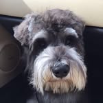 Dexter Edwards - @deadlydexter1335 - Instagram