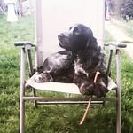 Dexter Ellis - @boniosandbellyrubs - Instagram
