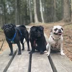 🌼Nala&Dexter&Ellis🌸 - @nalaanddexter - Instagram