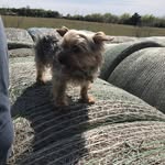 Dexter Evans - @lilmanevans - Instagram