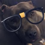 Dexter Gambles - @dextergambles - Instagram