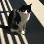 Dexter Garrison - @dextergarrison - Instagram
