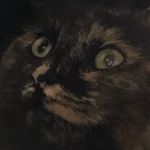 Dexter Grant - @star_the_fluff76 - Instagram