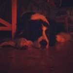 @dextergrant - Instagram