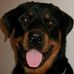 Dexter Gray - Facebook