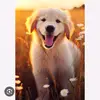 Dexter Griffin - @dexter.griffin35 - TikTok