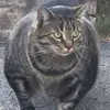 Dexter Guy - @dexterguy471 - TikTok