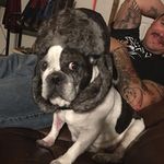 Dexter Guzman - @dextimus_prime - Instagram