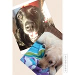 Dexter Hall And Bella Broadley - @dexterandbella2016 - Instagram