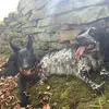Dexter Hall - @dexter.hall2 - TikTok