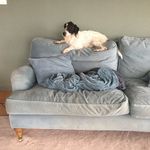 Dexter Hallworth - @dexterhallworth - Instagram