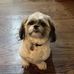 Dexter Hamilton - Facebook