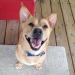 Dexter Hamilton - @goodboydetta - Instagram