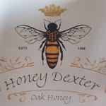 honey_dexter - @honey_dexter_lb - Instagram