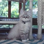 Dexter &. Reese - @dexter_harper - Instagram