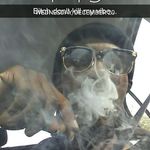 Dexter Harper - @dexter.harper.35 - Instagram