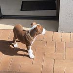 Dexter Harper - @dex_harp - Instagram