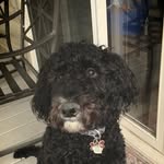 @dexter_hatch_ - Instagram