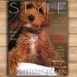 Hatchi Dexter - @hatchidexter - Instagram